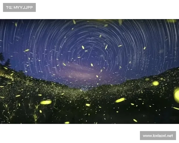 在荧光森林中提升内心力量的七种方法与心灵探索之旅