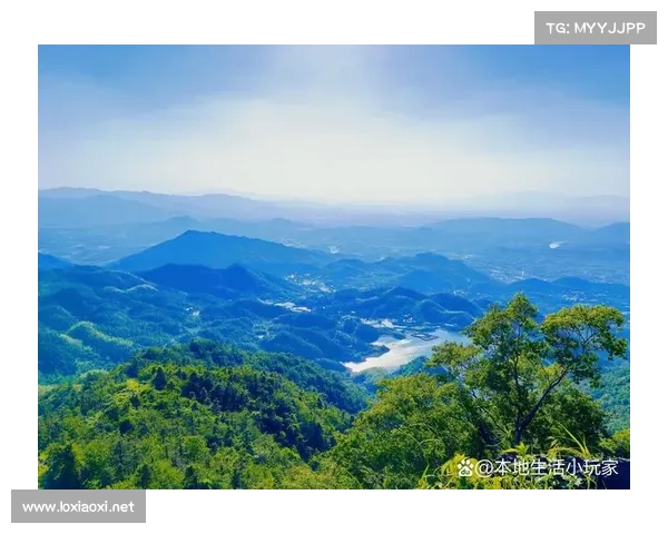 夜魇暗潮副本挑战全攻略解析如何在极限难度中脱颖而出