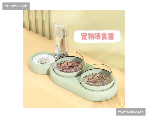 提升宠物技能的十大实用方法助力宠物成长与训练效果显著提升