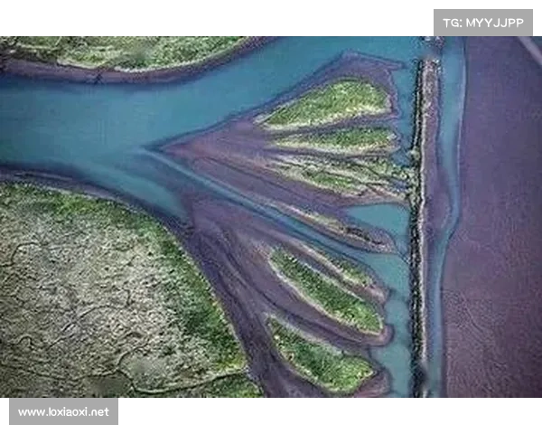 梦幻朱紫国五大神秘遗梦探秘之旅揭示古老秘境与神秘力量的真相