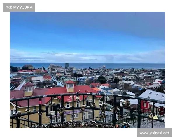 以三球之名探寻拉梅尔鲍尔崛起之路与篮球天赋奥秘